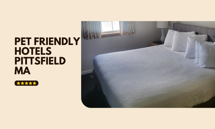 Pet Friendly Hotels Pittsfield MA