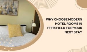 Modern Hotel Rooms in Pittsfield
