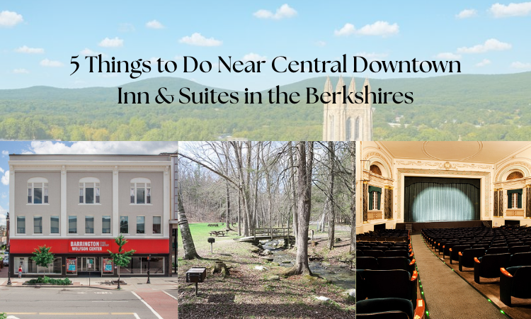 Central Downtown Inn & Suites