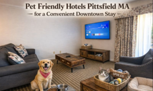 Pet Friendly Hotels Pittsfield MA