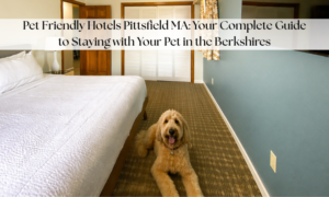 Pet Friendly Hotels in Pittsfield MA
