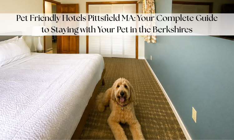 Pet Friendly Hotels in Pittsfield MA